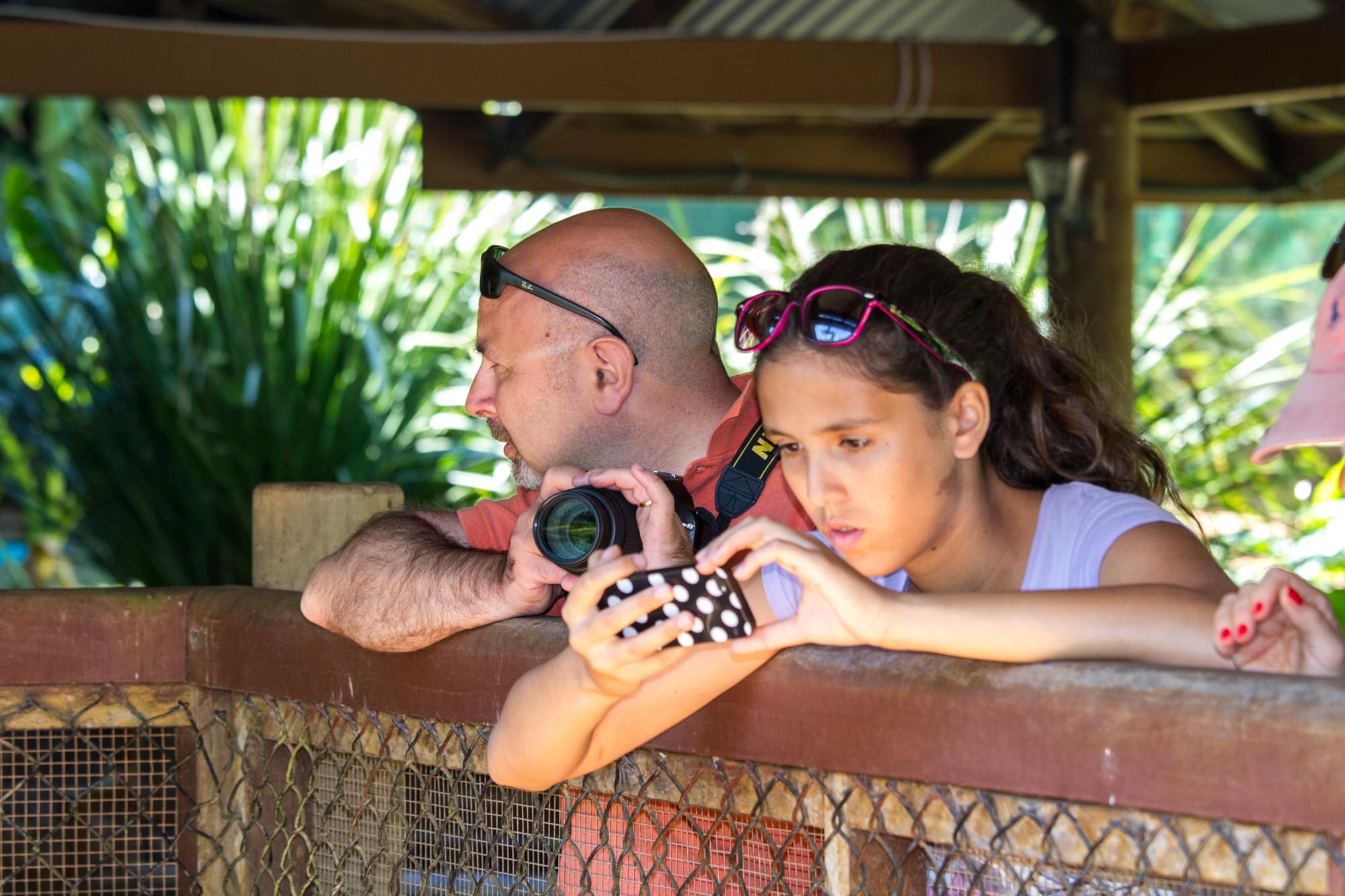 06_20150813   AUS 499   Kuranda